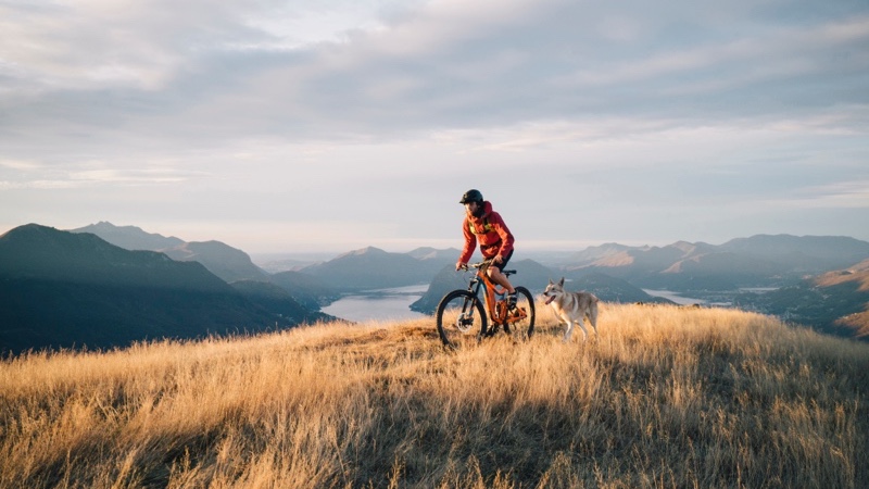 Dog with person riding a bike