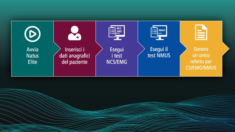 Natus Elite with NMUS Integration Workflow - IT.